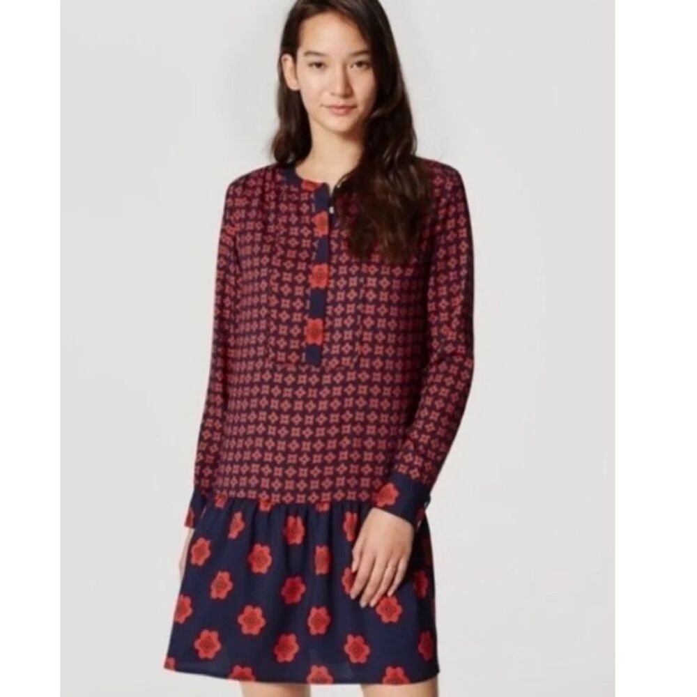 Ann Taylor Loft Floral Drop Waist Flounce Dress Size Small